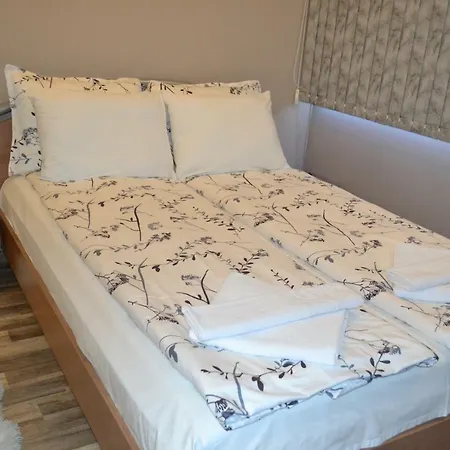 Apartment Студио Дани